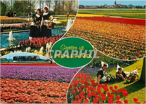 Cartes postales moderne Groeten uit Holland