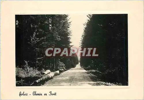 Cartes postales moderne Arbois Chemin en Foret