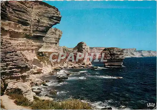 Cartes postales moderne Bonifacio Les Falaises