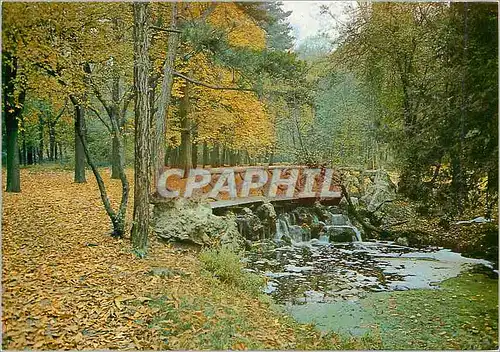 Cartes postales moderne Le Bois de Vincennes