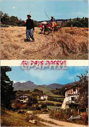 Cartes postales moderne Au pays basque La Fenaison Maison Basques au pied des Pyrenees