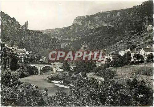 Cartes postales moderne Les Gorges du Tarn Les Vignes