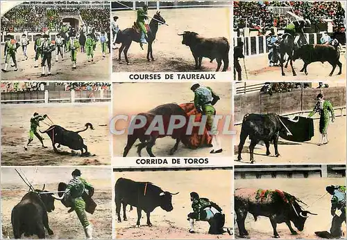 Cartes postales moderne Courses de Taureaux Corrida