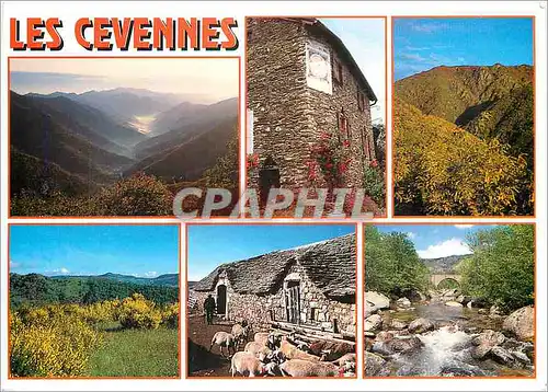 Cartes postales moderne Les Cevennes