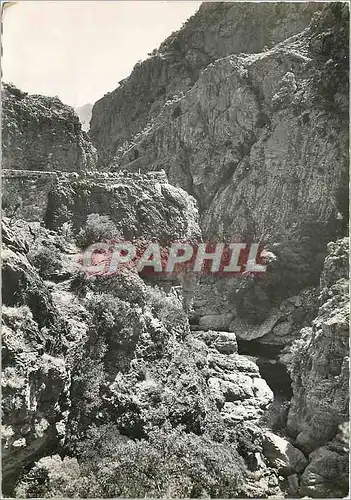 Cartes postales moderne La Corse Ile de Beaute Route de Ghisoni a Ghisonaccia