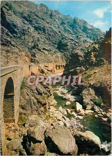 Cartes postales moderne La Corse oasis de Beaute La Scala di Santa Regina