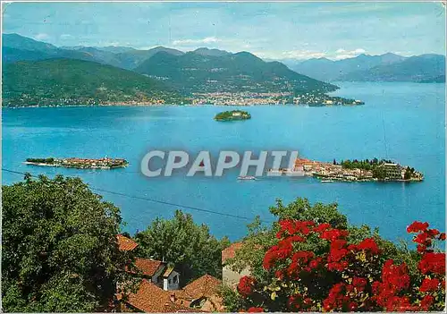 Cartes postales moderne Lago Maggiore Isole Borromee