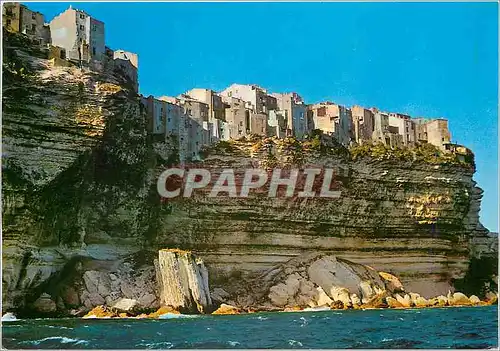 Cartes postales moderne Corse Ile de Beaute Bonifacio La haute ville et les falaises