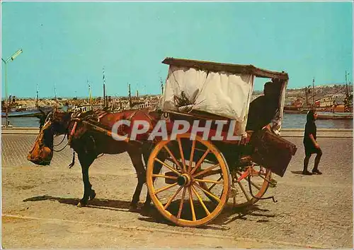 Cartes postales moderne Algarve Portugal Transport tipique