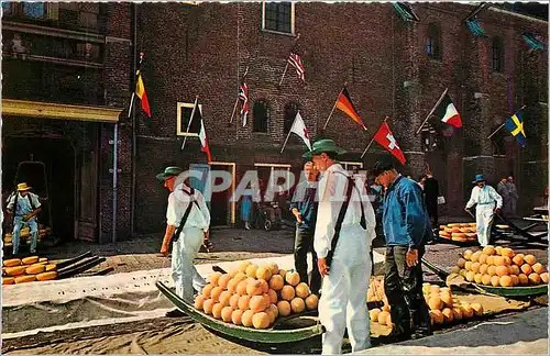 Cartes postales moderne Alkmaar Kaasmarkt