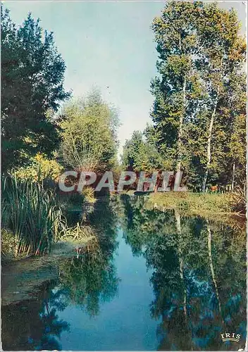 Cartes postales moderne Marais Poitevin La Venise Verte Le Biei Biffour Route d'eau de Coulon a la Garette