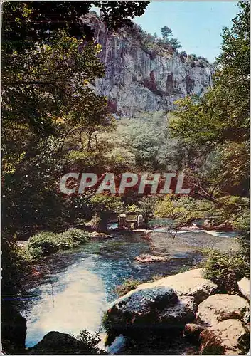 Cartes postales moderne Les Belles Images de Provence (Vaucluse) Fontaine de Vaucluse et ses Cascades