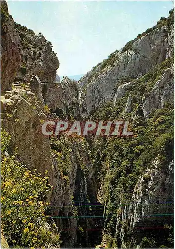 Cartes postales moderne Lumiere et Couleurs du Fenouilledes St Paul de Fenouillet les extraordinaires Gorges de Calamus