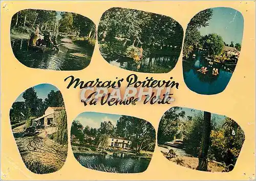 Cartes postales moderne Marais Poitevin Venise Verte Cathedrale de la Verdure