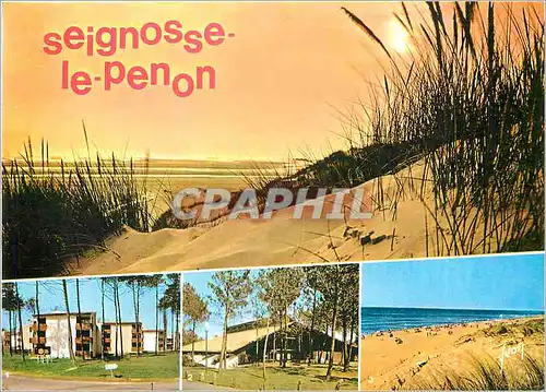 Cartes postales moderne Les Landes Seignosse le Penon (Landes) Les Residences Pavillon centrale des gites de la Foret et