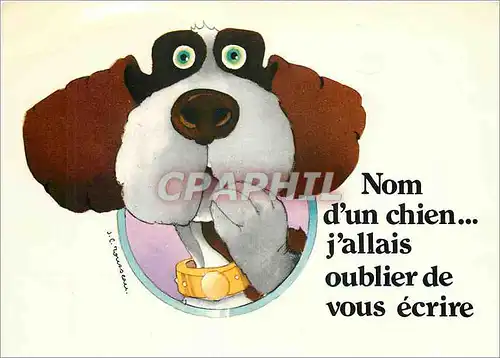 Cartes postales moderne Nom d'un chien j'allais oublier de vous ecrire