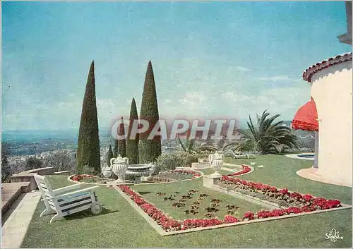 Cartes postales moderne Le Cannet Cote d'Azur Yakymour