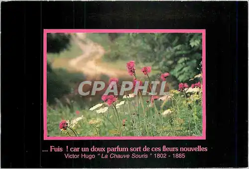 Cartes postales moderne Fuis car un doux parfum sort de ces fleurs nouvelles Victor Hugo La Chauve Souris