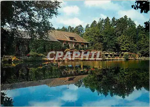 Cartes postales moderne Station Thermale de Bagnoles de l'Orne L'Hotel de l'Etang de la vallee de la Cour