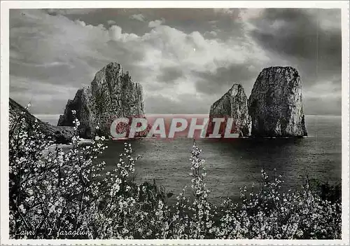 Cartes postales moderne Capri