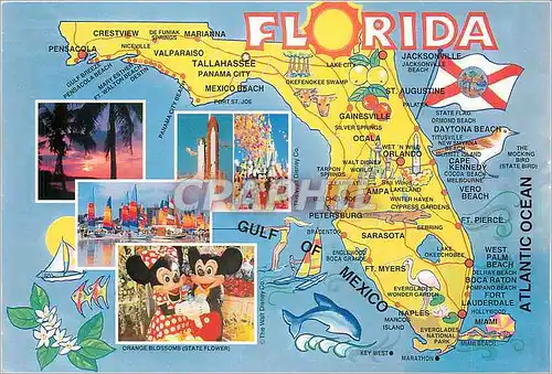 Cartes postales moderne Florida