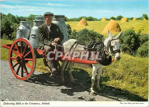 Cartes postales moderne Belivering milk to the Creamery Ane Mule