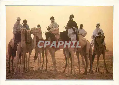 Cartes postales moderne Teguidda N'Tessoumt La cure salee