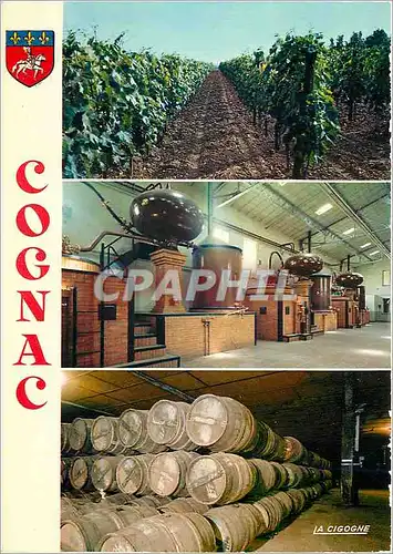 Cartes postales moderne Cognac Charente Vignobles Charentais