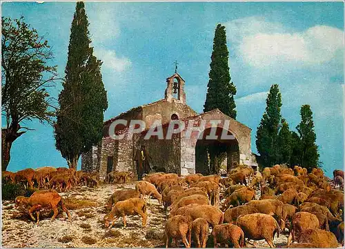 Cartes postales moderne Au Soleil du Midi Symphonie Pastorale