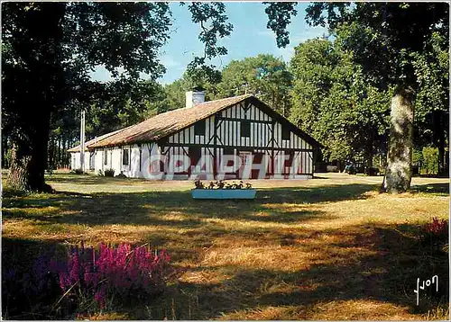 Cartes postales moderne Couleurs et Lumiere de France Les Landes Maison landaise aux environs de Leon