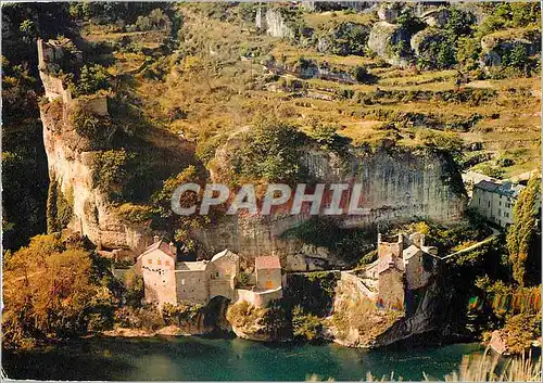 Cartes postales moderne Les beaux sites de la Lozere Les Gorges du Tarn Chateau de Castelboue