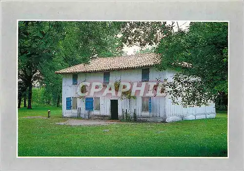 Cartes postales moderne Parc Naturel Regional des Landes de Gascogne