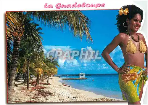 Cartes postales moderne Guadeloupe