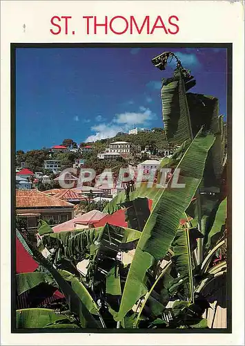 Cartes postales moderne  St Thomas US VI View from Hus on Government Hill looking towards the Danish Consulate and tradi