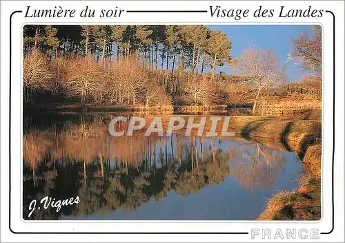 Cartes postales moderne Lumiere du soir Visage des Landes