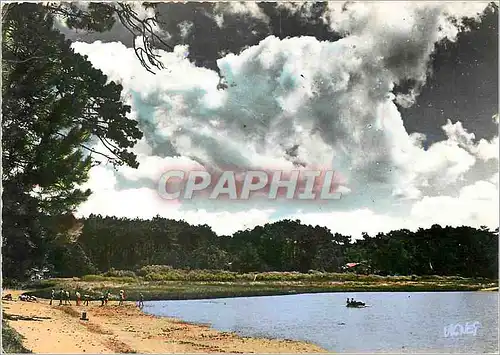 Cartes postales moderne Visage des Landes Sous le beau ciel des Landes