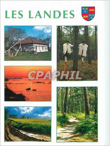 Cartes postales moderne Les Landes