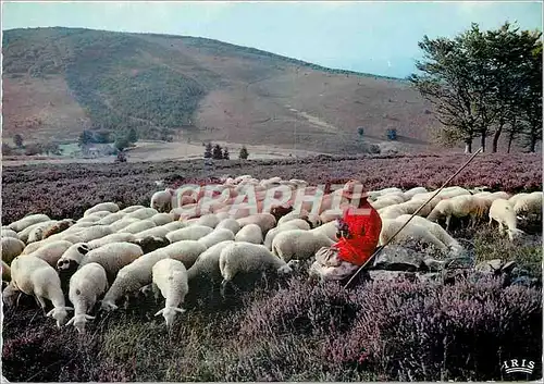 Cartes postales moderne Le Limousin Pittoresque Les Monedieres