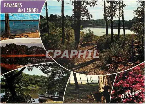 Cartes postales moderne Visage des Landes La douceur des Landes