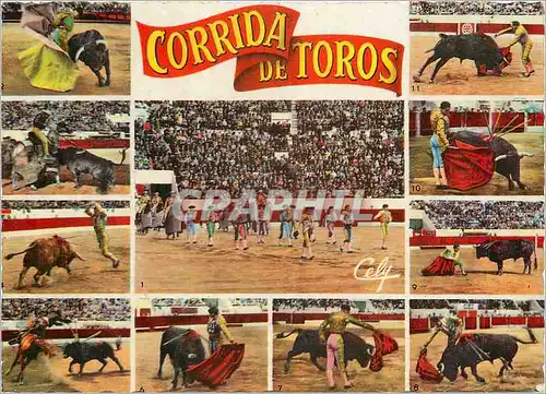 Cartes postales moderne Corrida de Toros