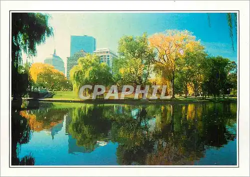 Cartes postales moderne USA Boston Le parc