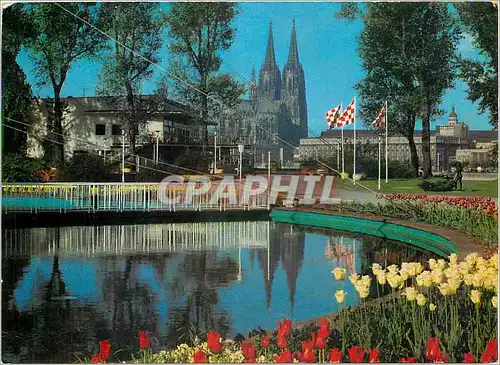 Cartes postales moderne Koln Rheinpart