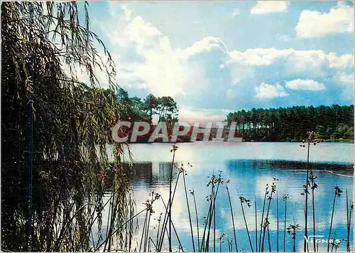 Cartes postales moderne Visage des Landes Etang d'Uza Mais ta mission d'un jour prend corps et s'illumine