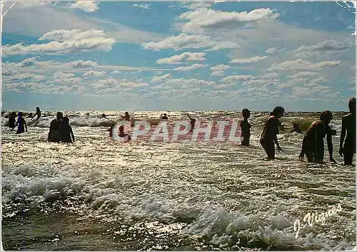 Cartes postales moderne Visage des Landes Baignade dans l'Ocean