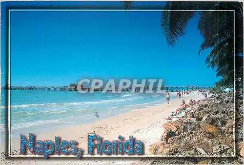 Cartes postales moderne Naples Florida Naples on the Gulf The View of the Naples Pier shows the clear blue sky