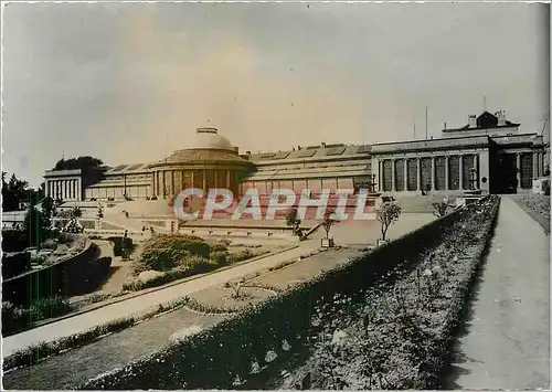 Cartes postales moderne Bruxelles Jardin Botanique