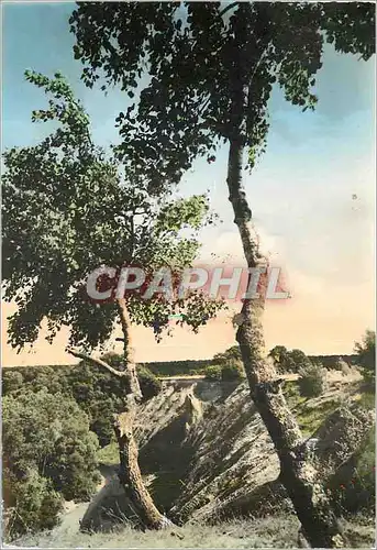 Cartes postales moderne Env de Saint Dizier (Hte Marne) Moeslains les Cotes Noires