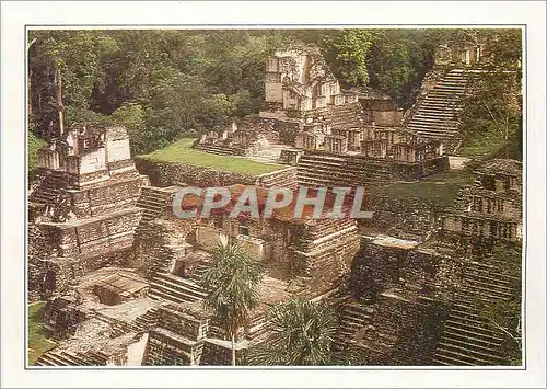 Cartes postales moderne Guatemala Tikal L'ancienne metropole maya