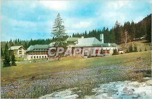 Cartes postales moderne Poiana Brasov Hotel Sport