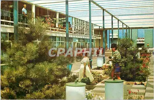 Cartes postales moderne Mamaia L'Ensemble Commercial